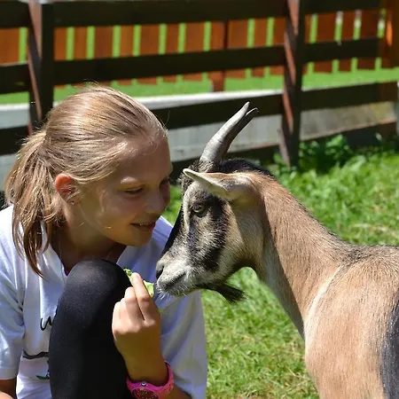 Ponyhof 4* Fusch an der Grossglocknerstrasse