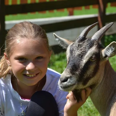 Ponyhof Hotel Fusch an der Grossglocknerstrasse