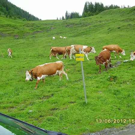 Ponyhof 4* Fusch an der Grossglocknerstrasse