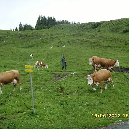 Hotel Ponyhof