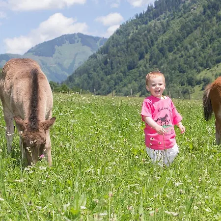 Ponyhof