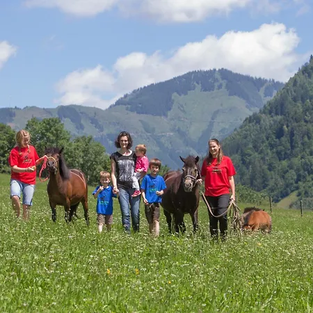 Ponyhof