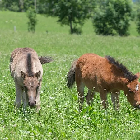 Ponyhof 4* Fusch an der Grossglocknerstrasse