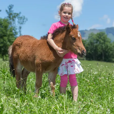 Ponyhof