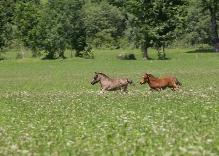 Ponyhof 4* Fusch an der Grossglocknerstrasse