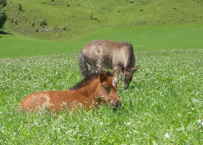 Ponyhof Fusch an der Grossglocknerstrasse