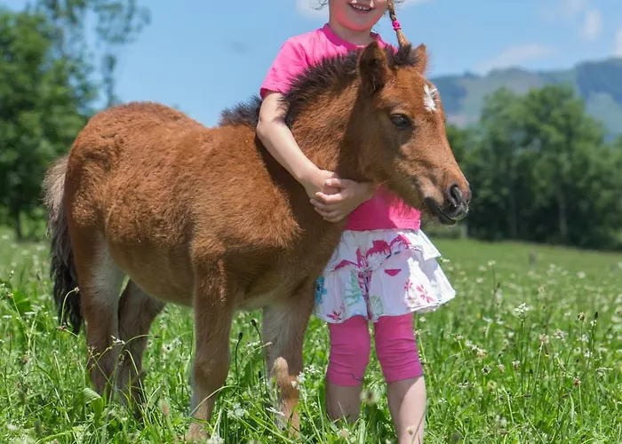 Ponyhof